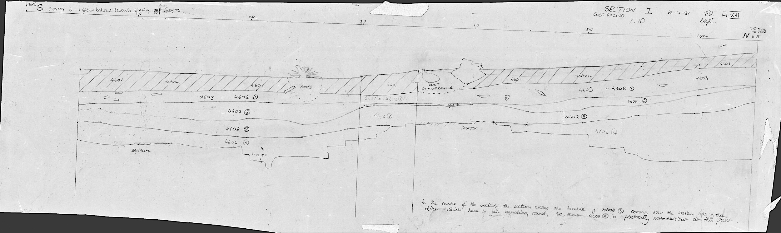 8. Section 1 East facing