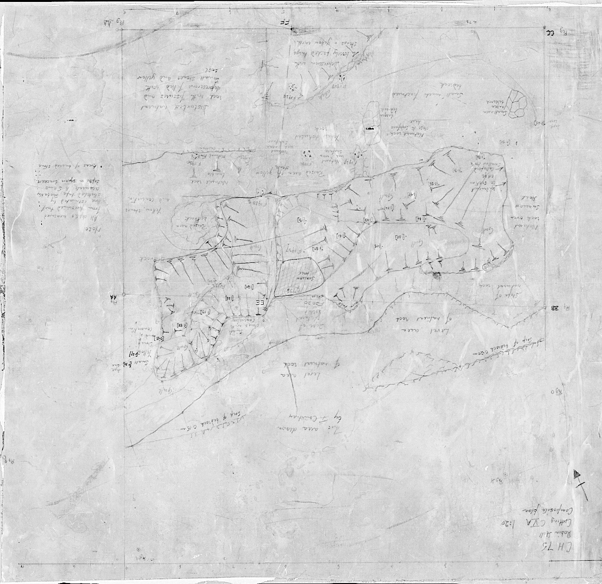 1. Composite (feature) plan