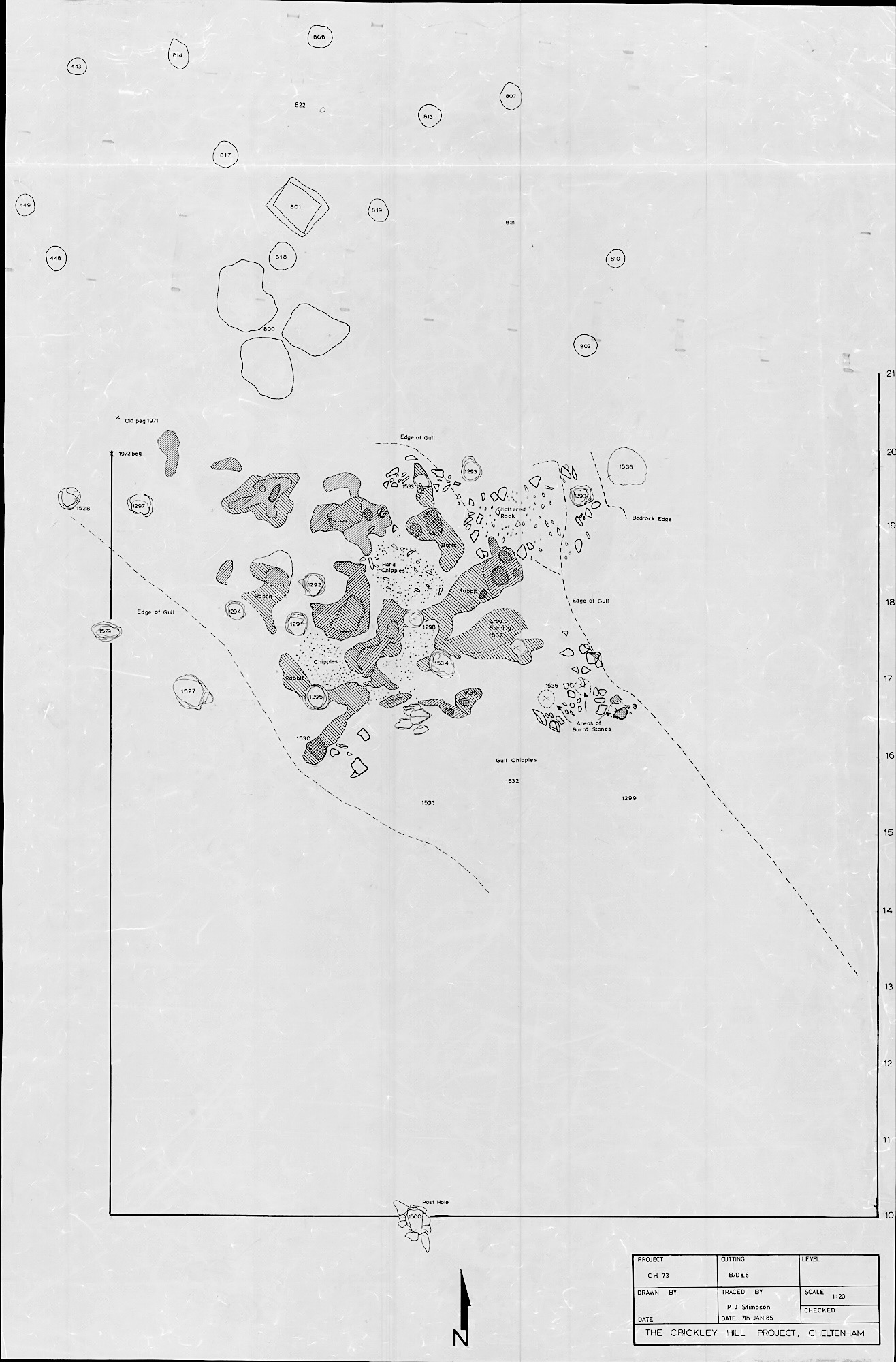 1. Feature Plan with D3