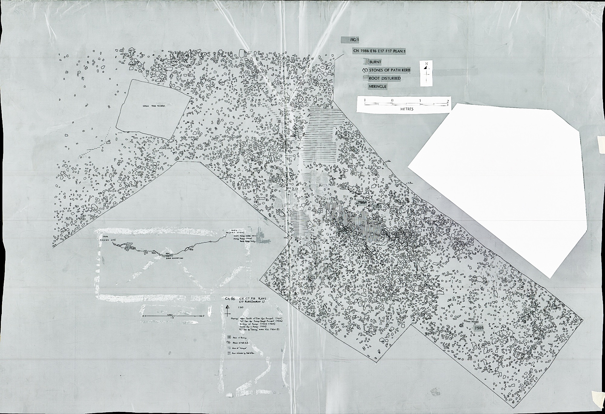 1. Plan 1