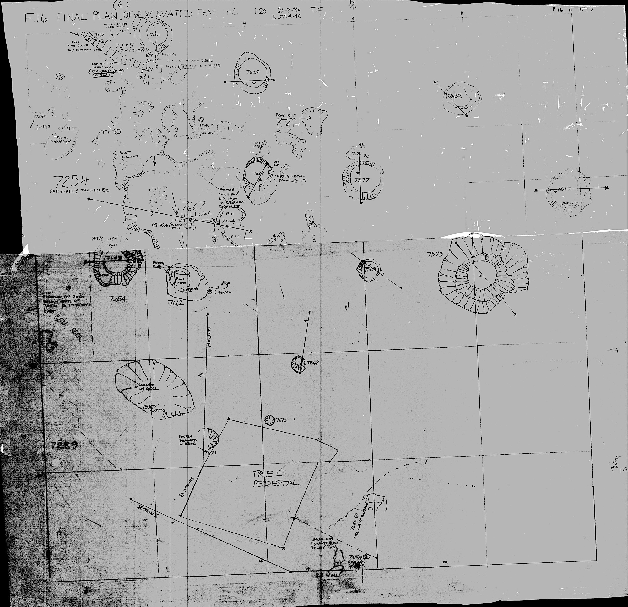 13. Feature Plan