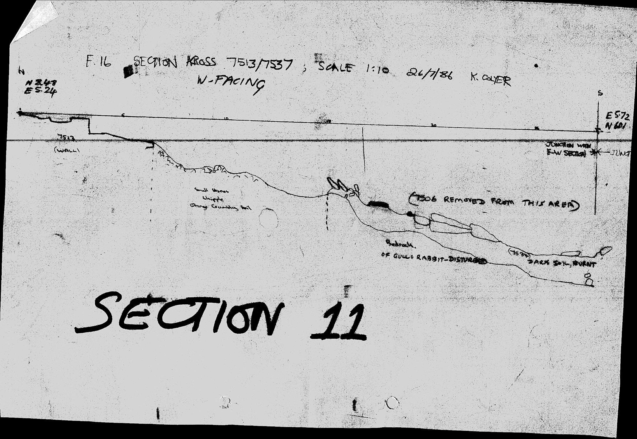 16. Section 11