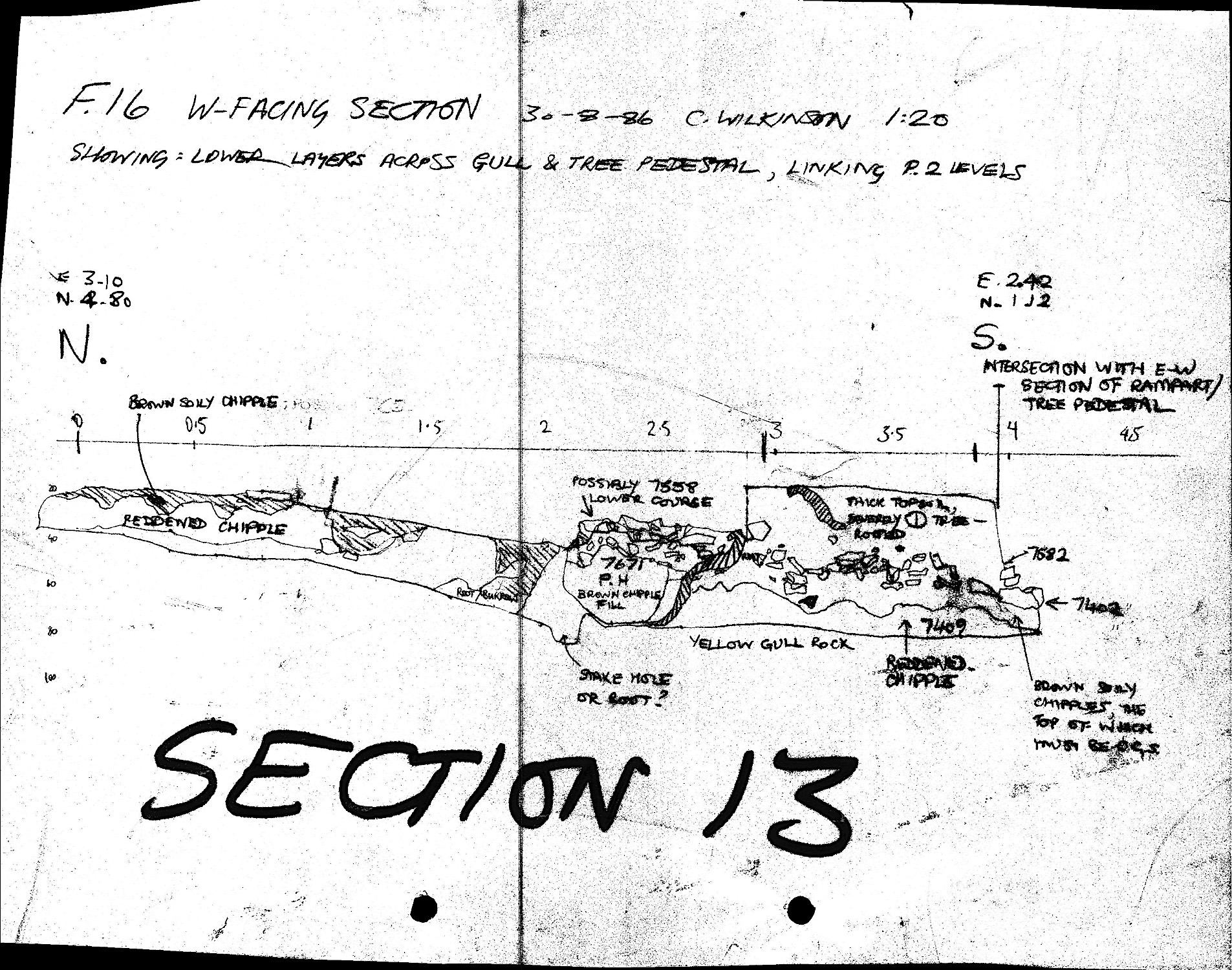 18. Section 13