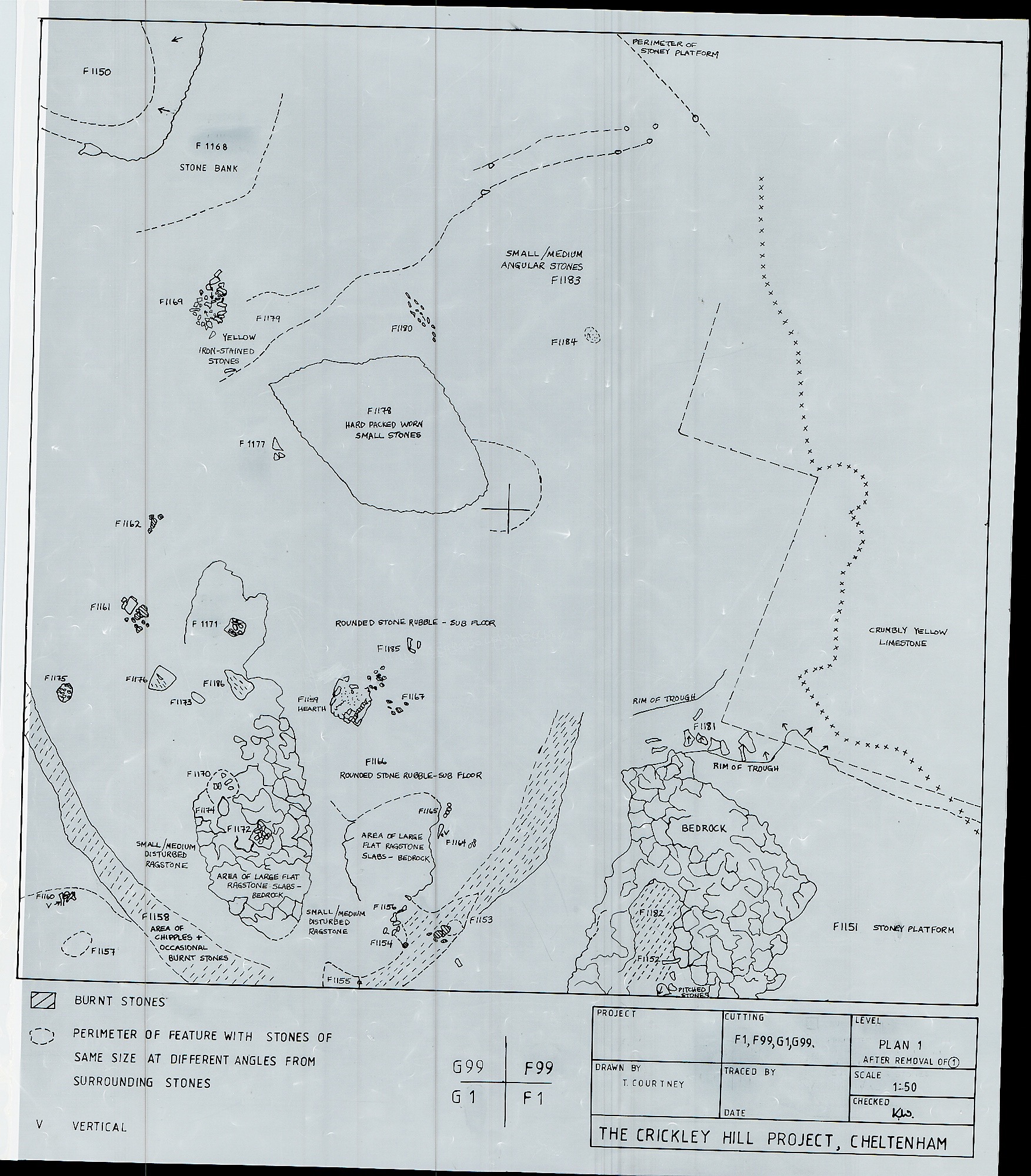 5. Plan 1 with F1, F99 and G99