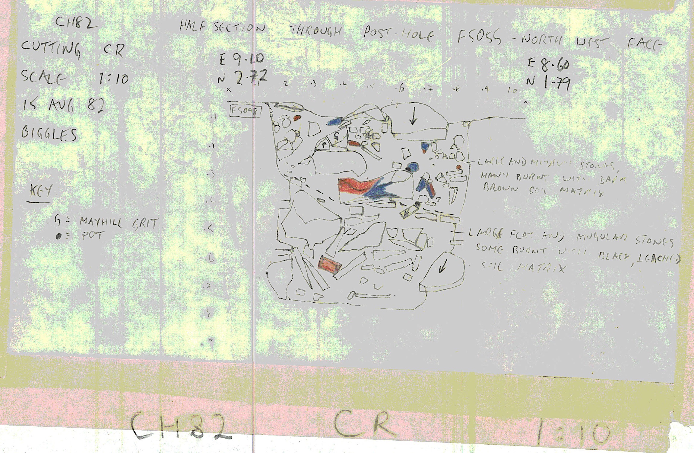 11. Section of F05055 (hand)