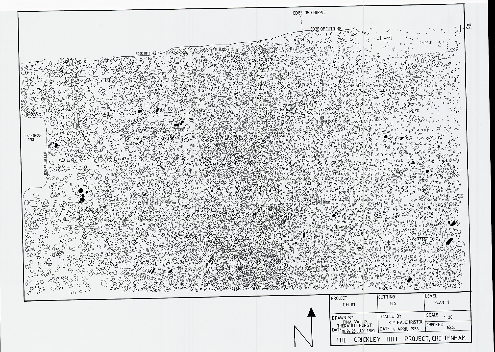 5. Plan 1 South
