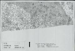 1. Plan 1 North