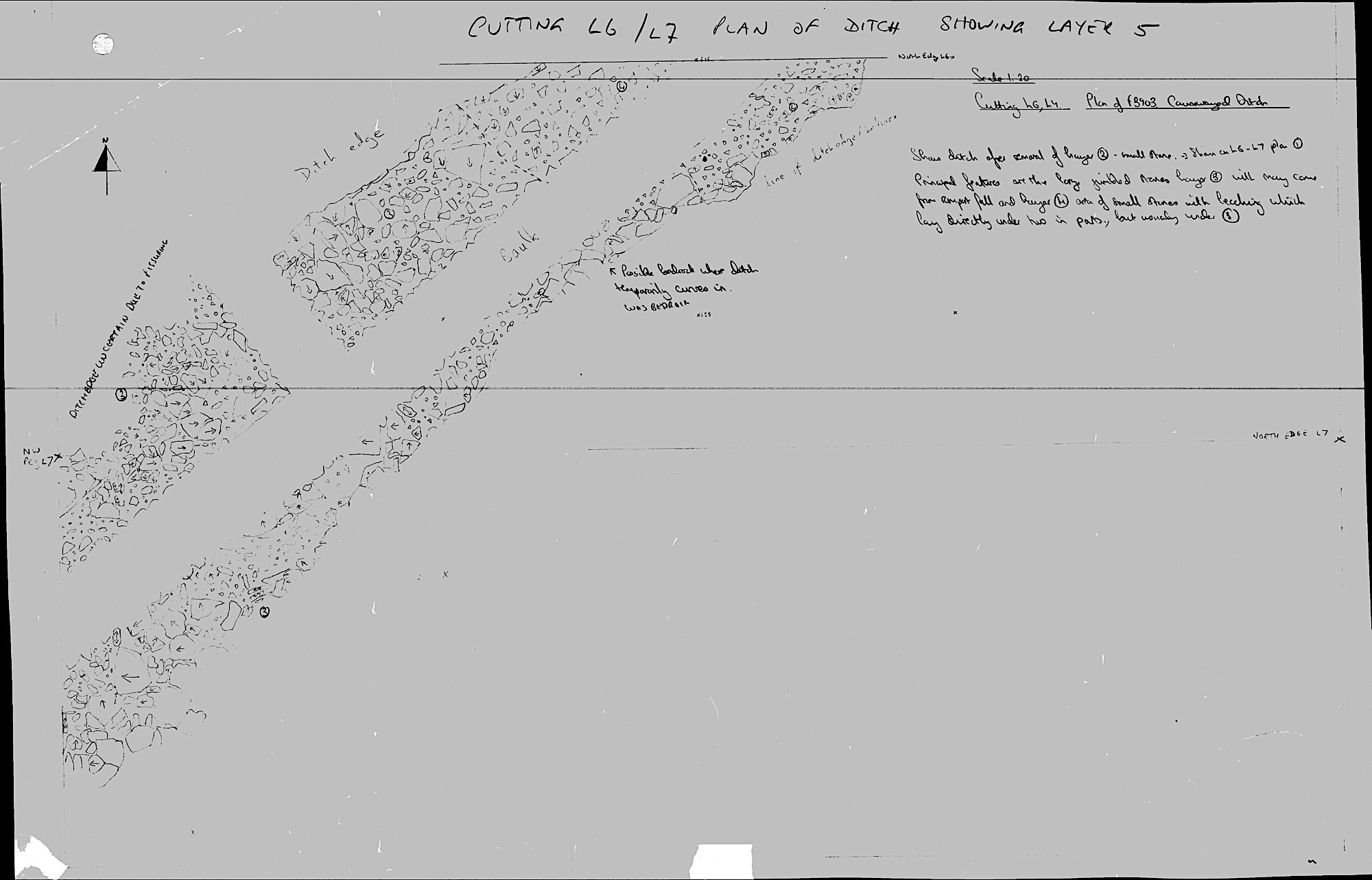 5. Plan 5 with L7 (hand)