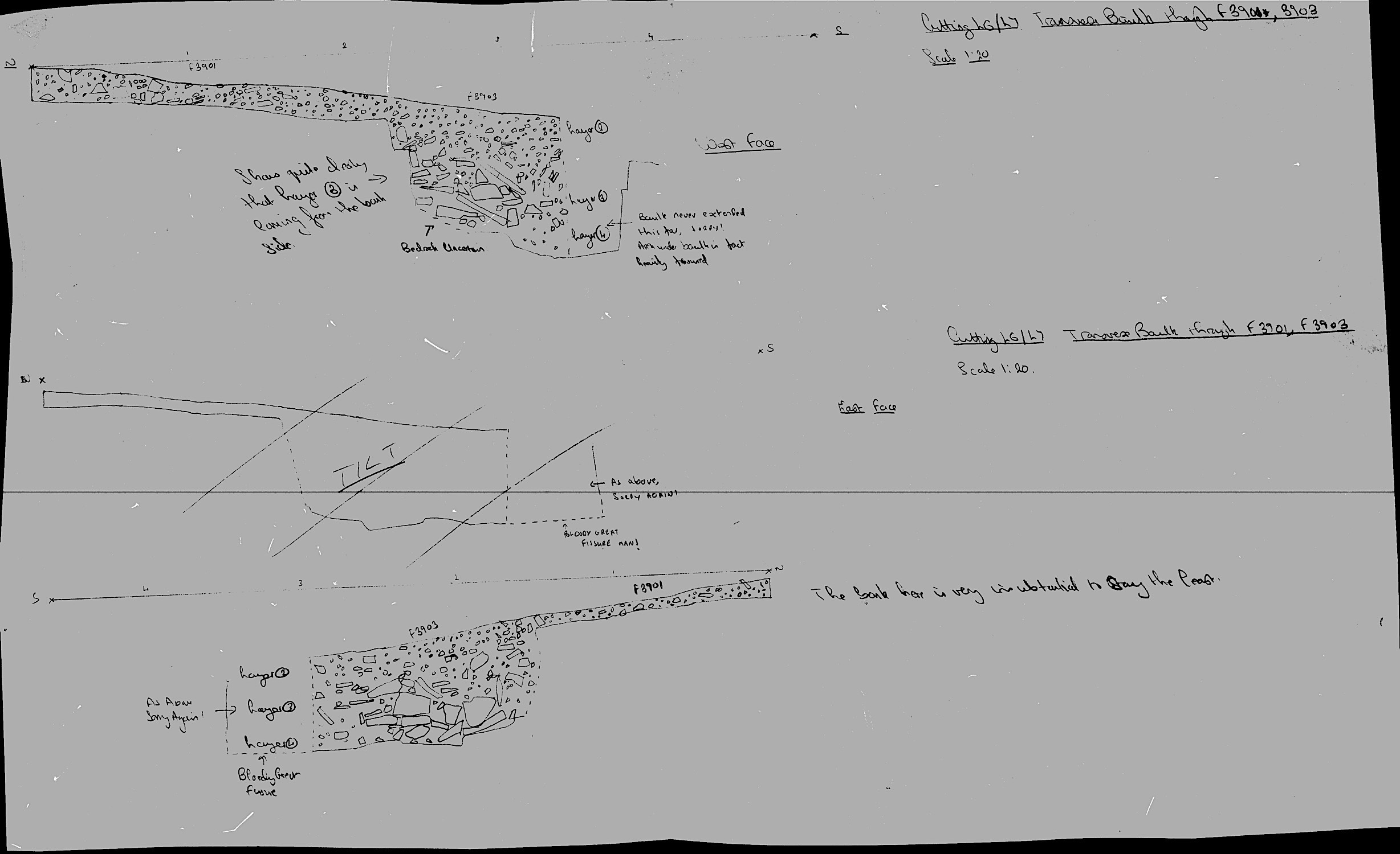 6. Transverse baulk section of F03901 and F03903