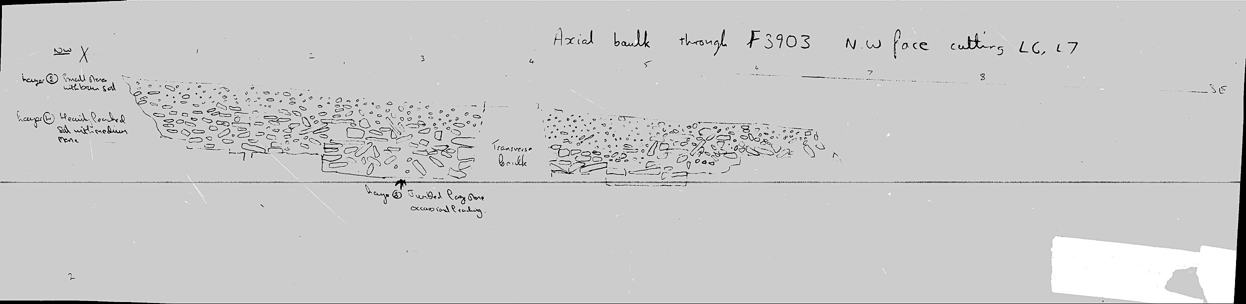 7. NW axial baulk section of F03903