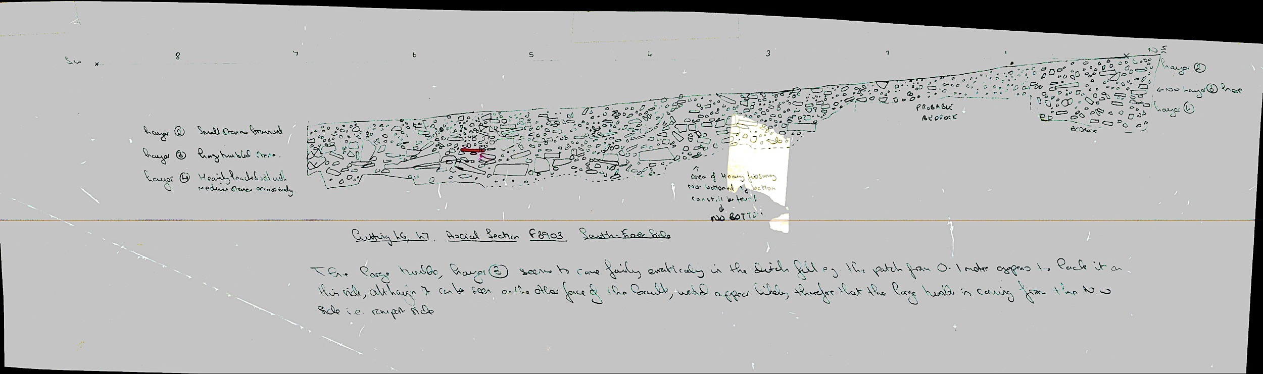 8. SE axial baulk section of F03903