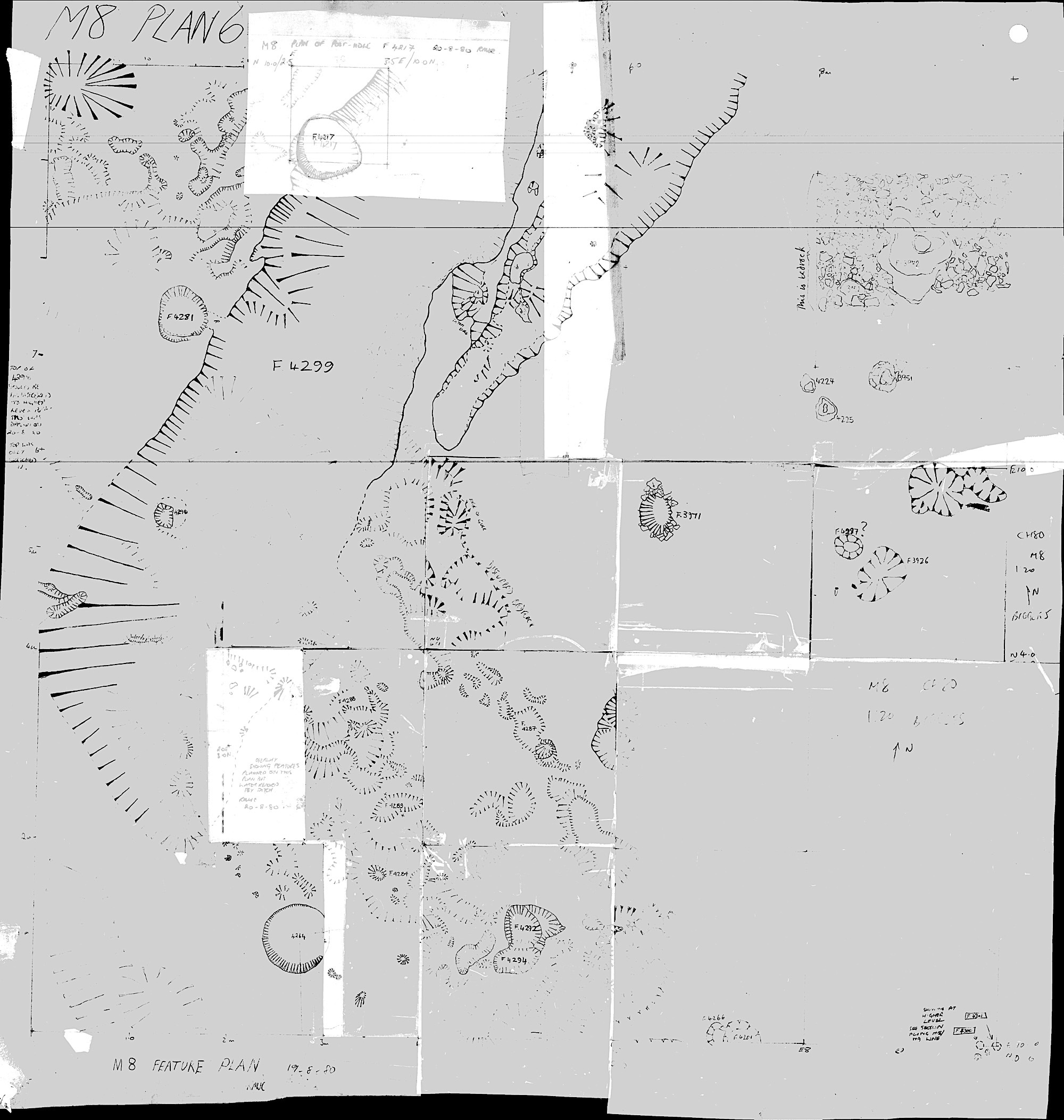 12. Feature Plan (hand)