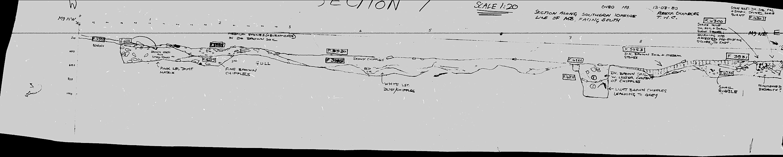 11. Section 7 (hand)