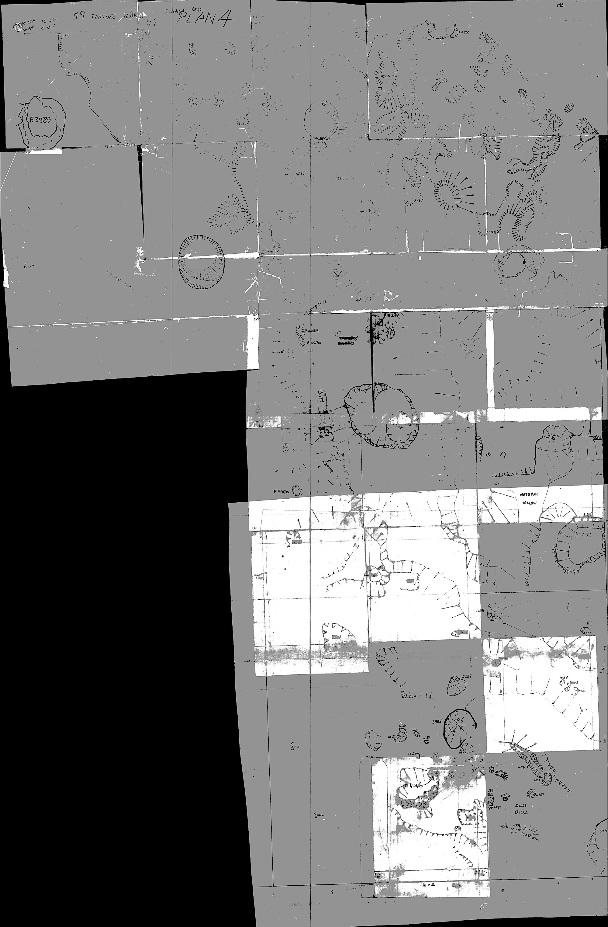7. Plan 4 M9-M10 (hand)