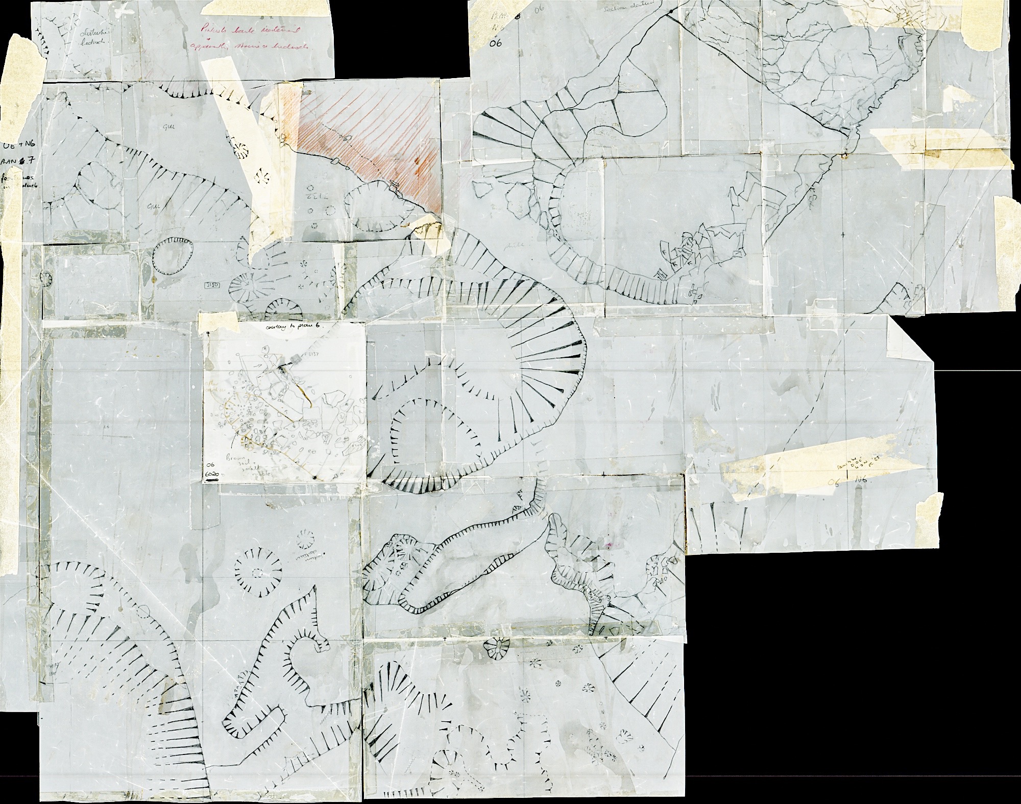 7. Plan 7 with O6 (hand)