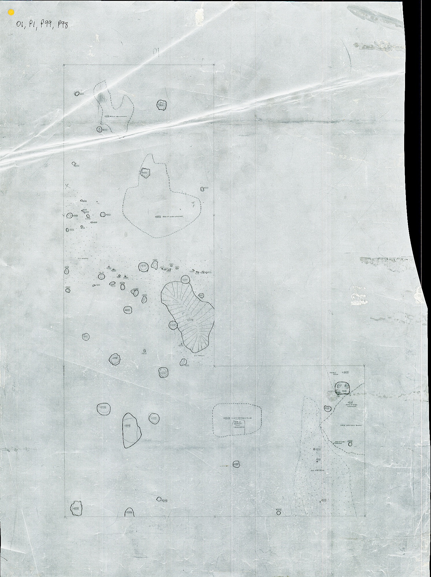 6. Feature Plan with P98, P99, P1 (hand)