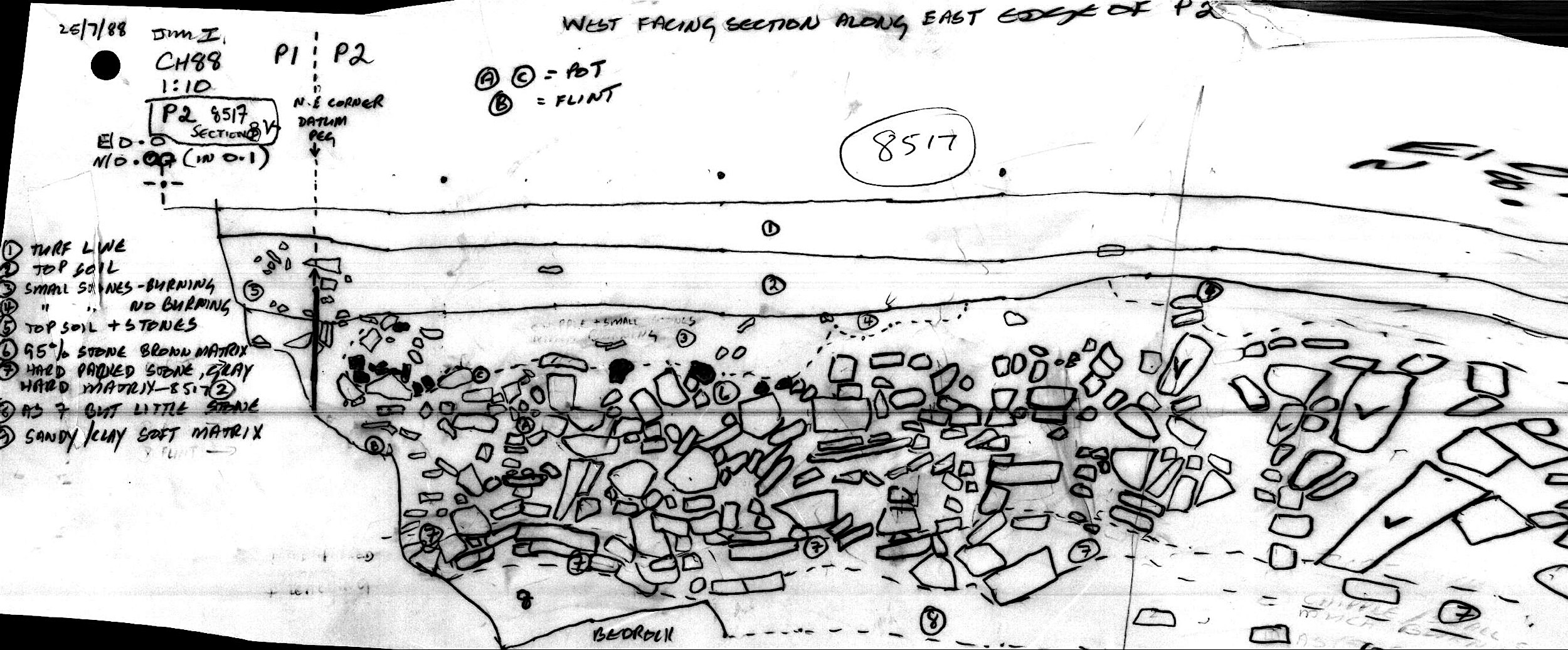 41. W facing section along E edge of P2
