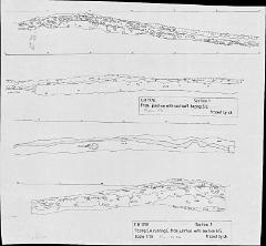 15. Section 2