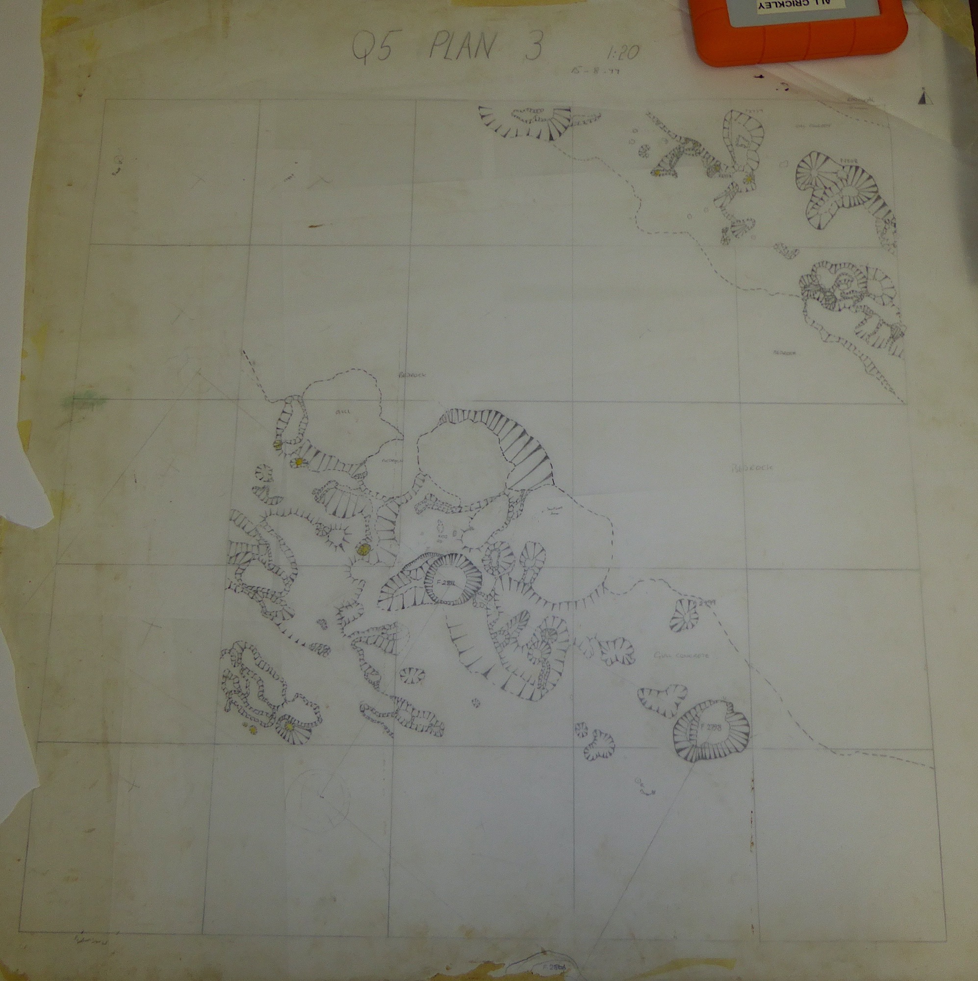 10. Plan 3 NE (hand)