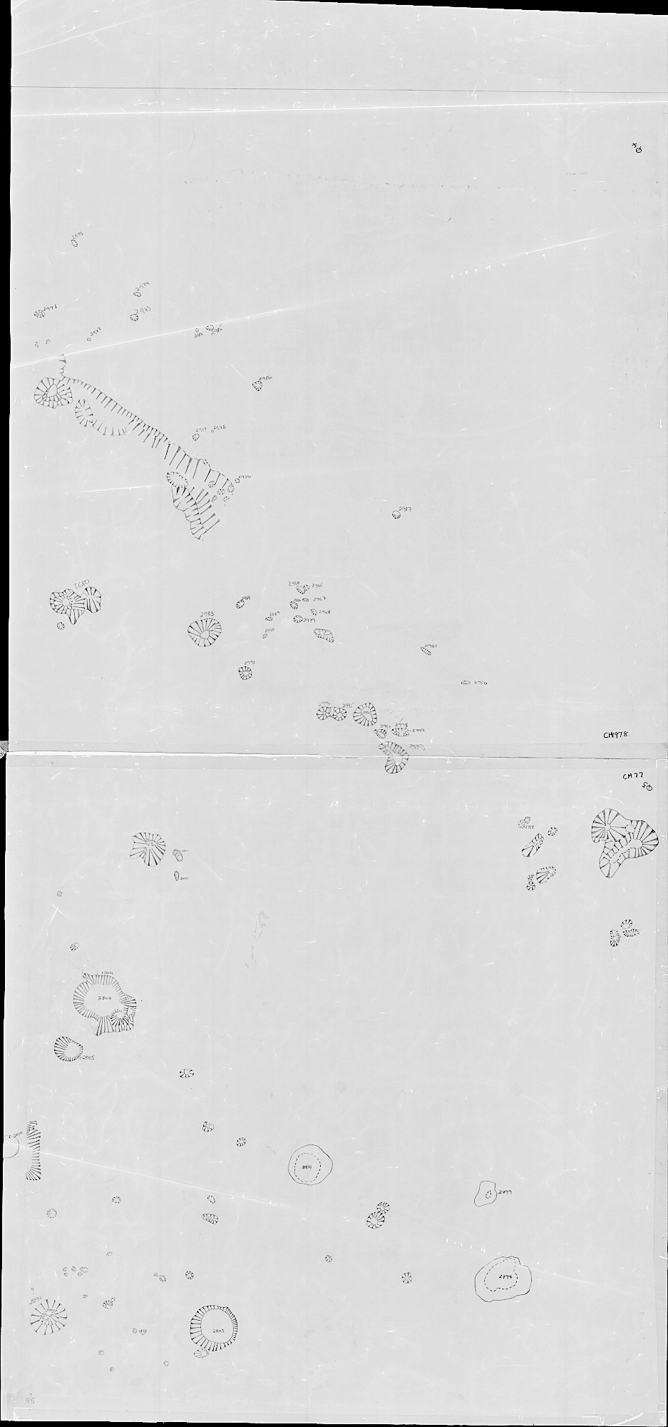 14. Feature Plan with Q4