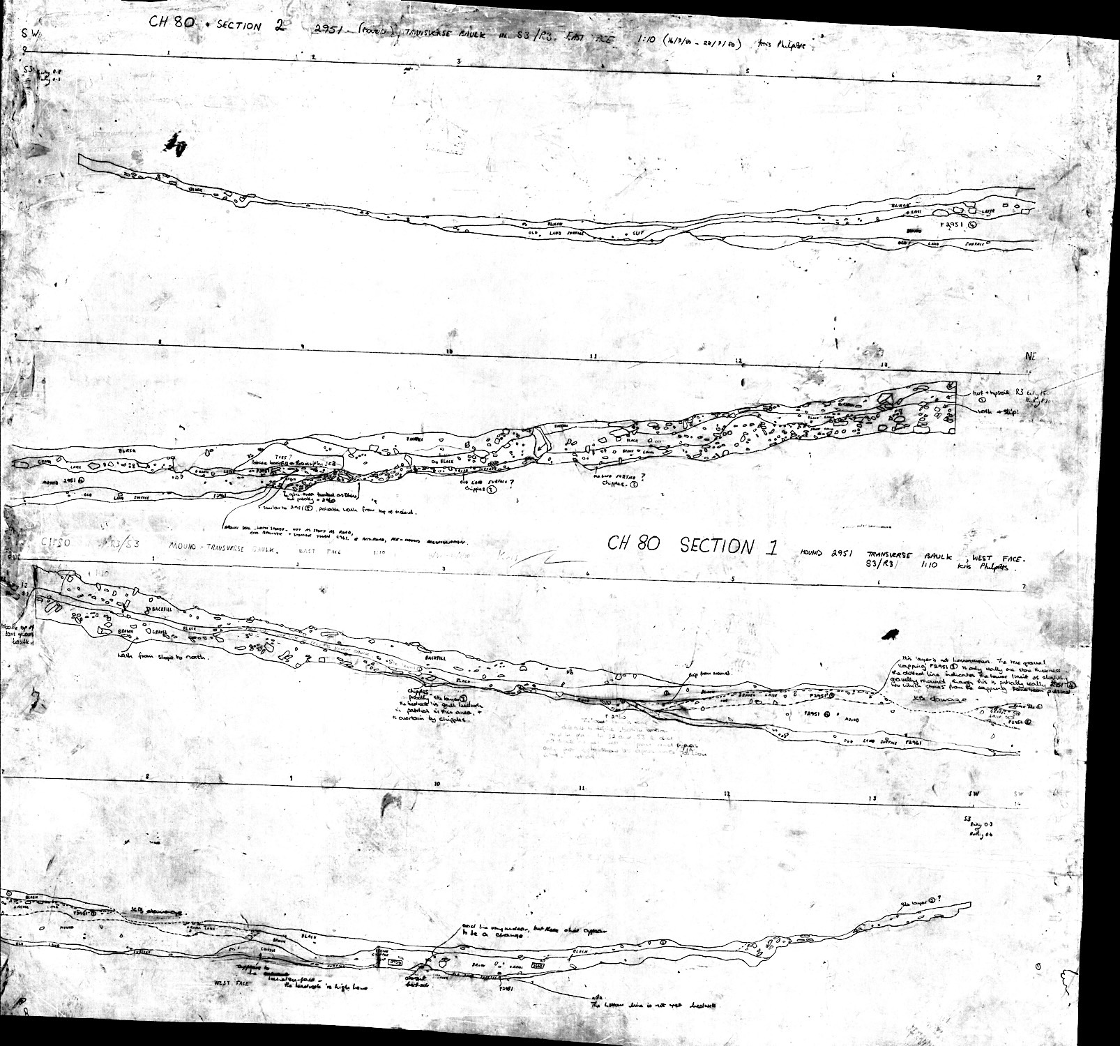 37. Long Mound baulk sections 1 and 2 (hand)