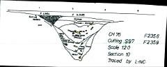 11. Section 10
