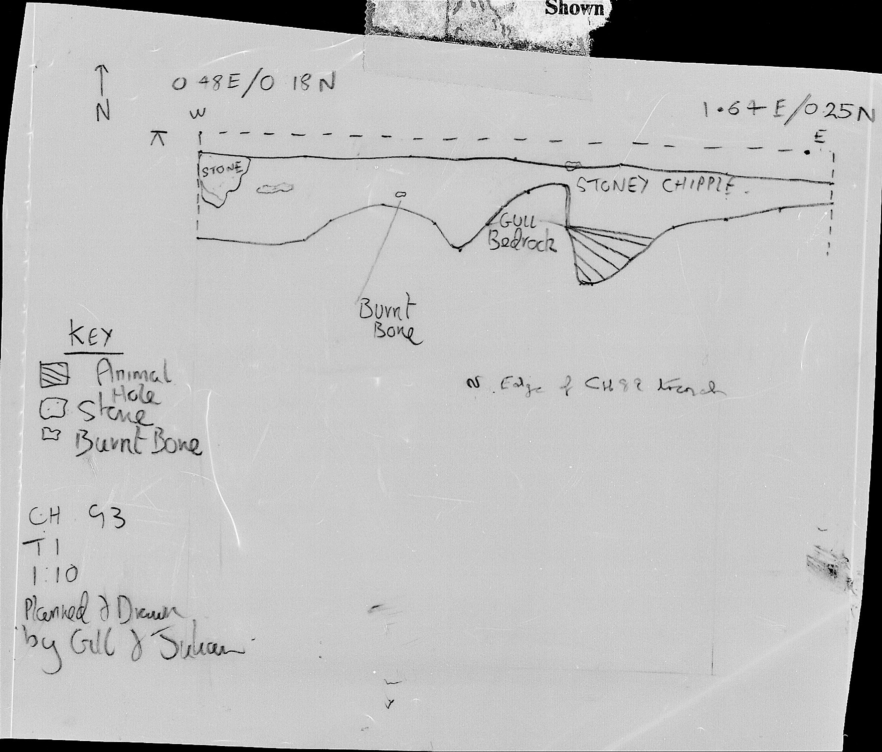 10. Section