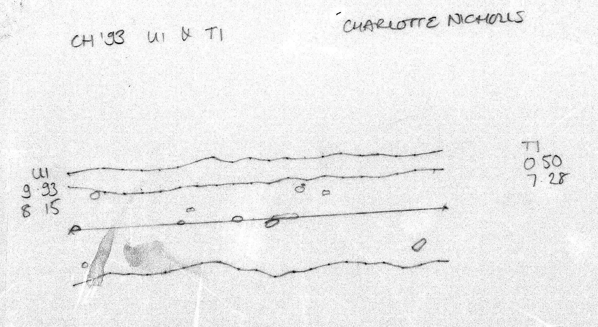 41. Unlabelled section