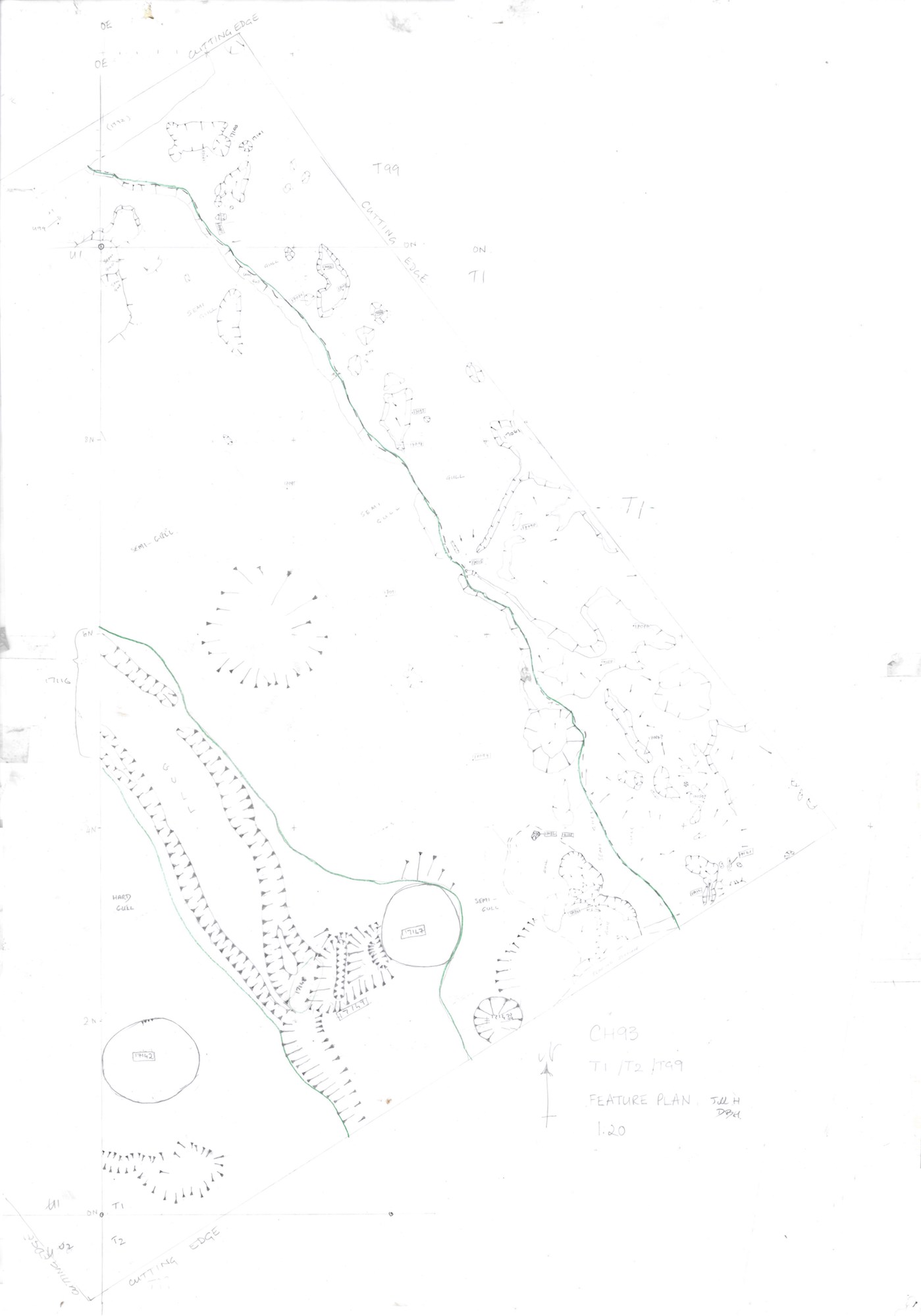 8. Feature Plan with T99 (hand)
