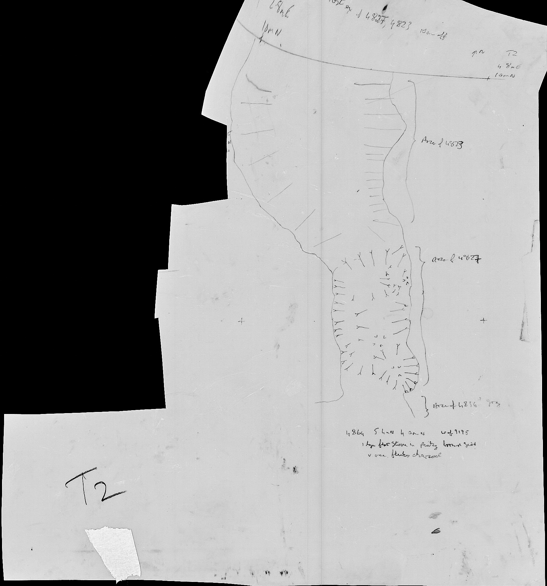 41. Feature Plan West (hand)