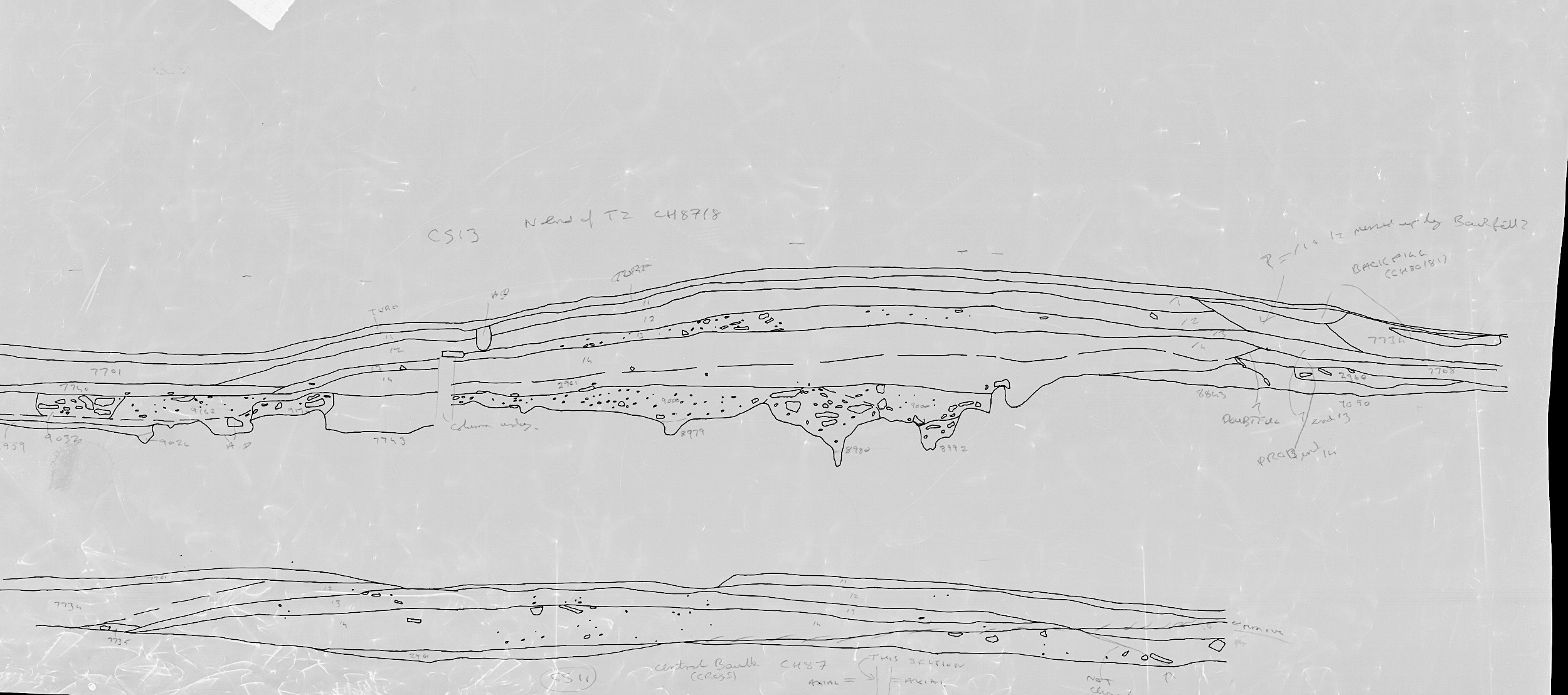 48. Sections CS11 and CS13 of Long Mound