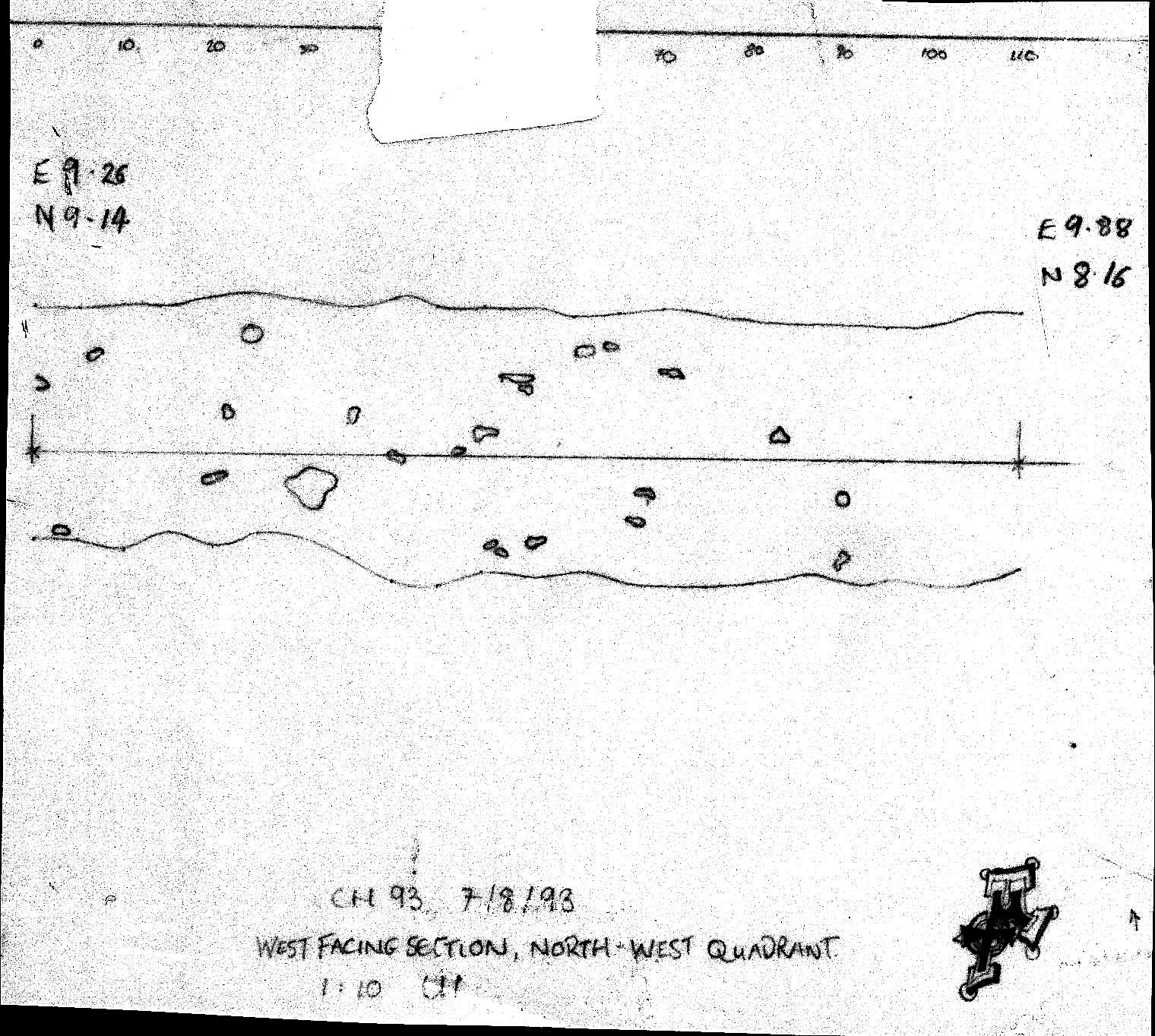 12. Baulk section