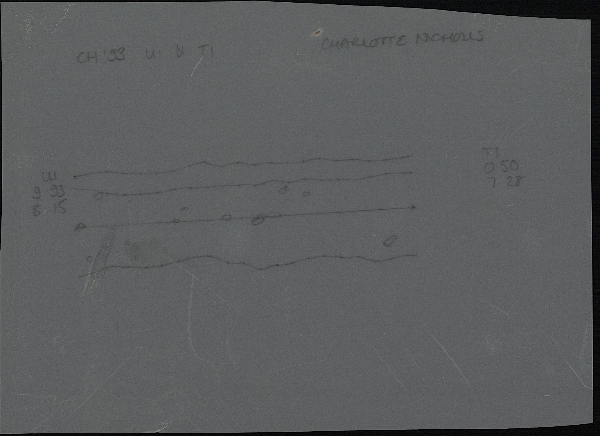8. Section