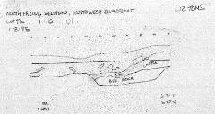 16. Baulk section