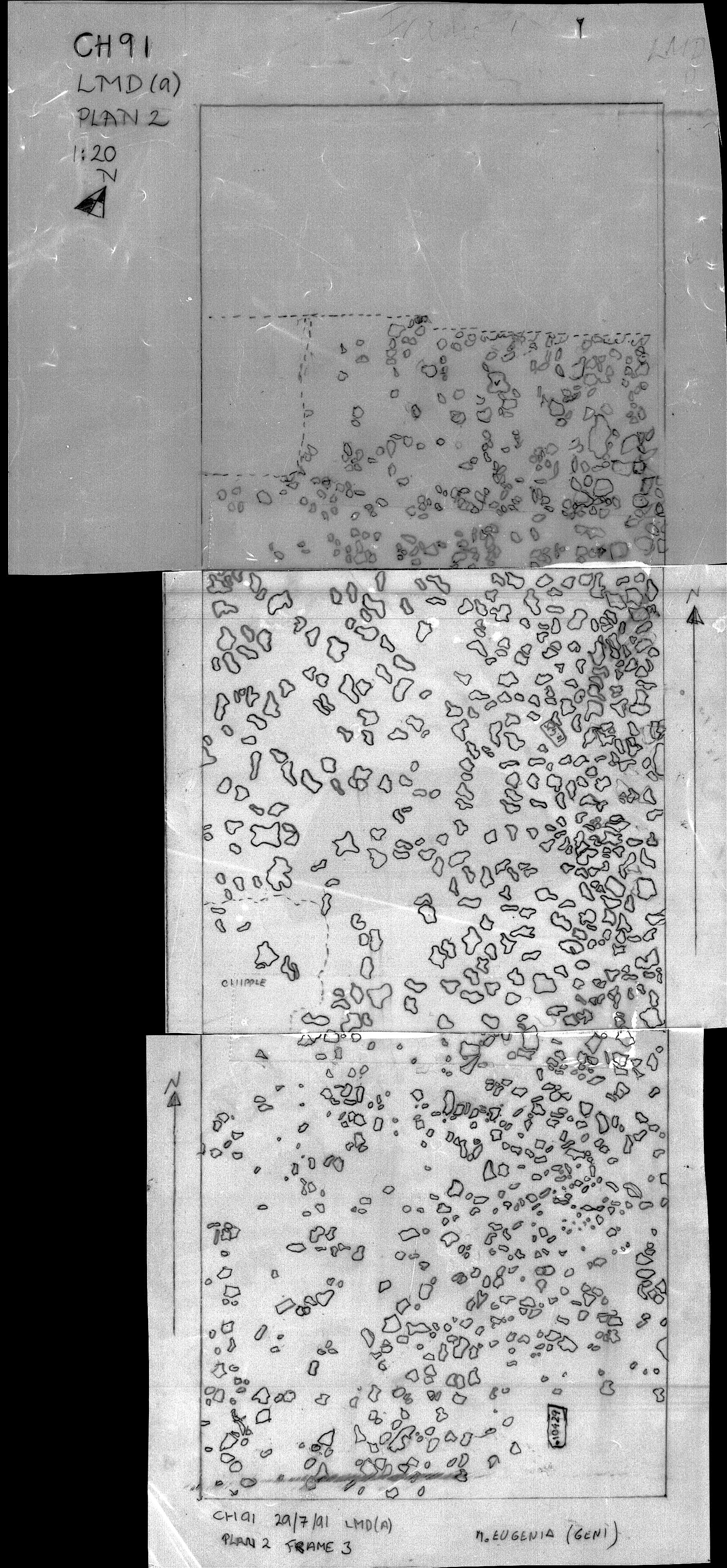 10. LMD Plan 2 (hand)