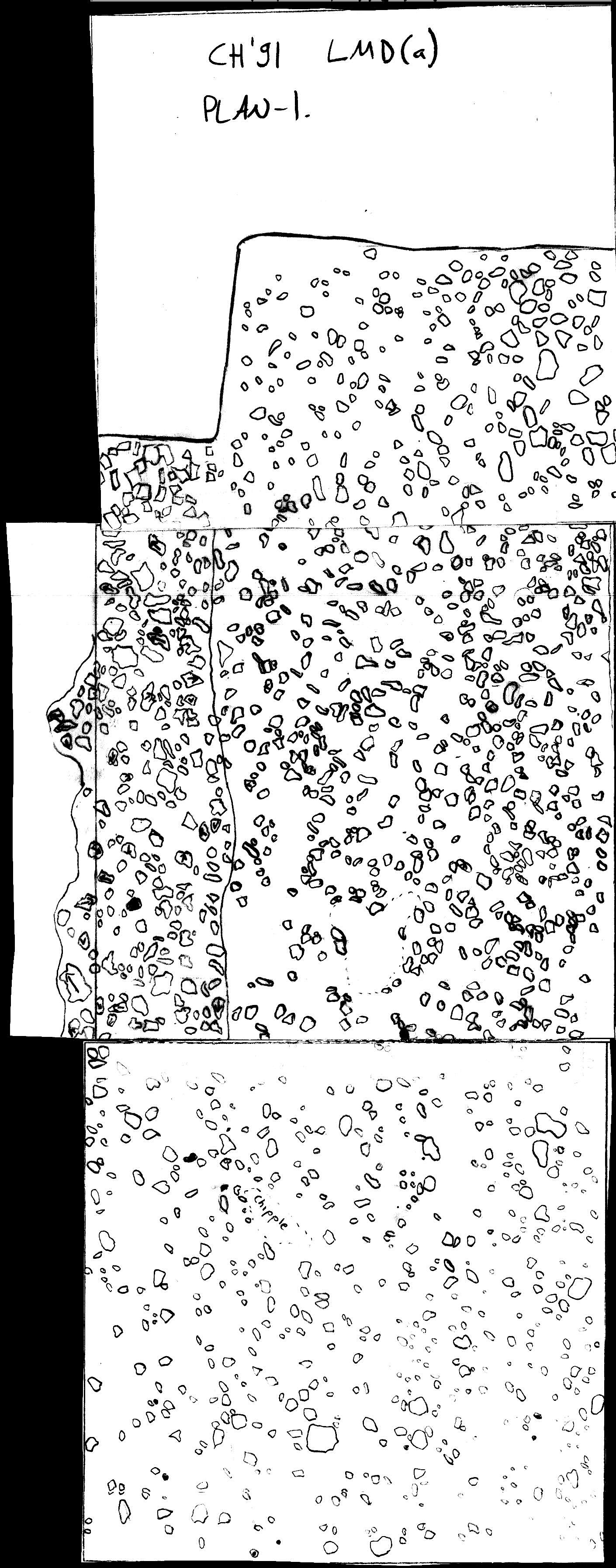 9. LMD Plan 1 (hand)