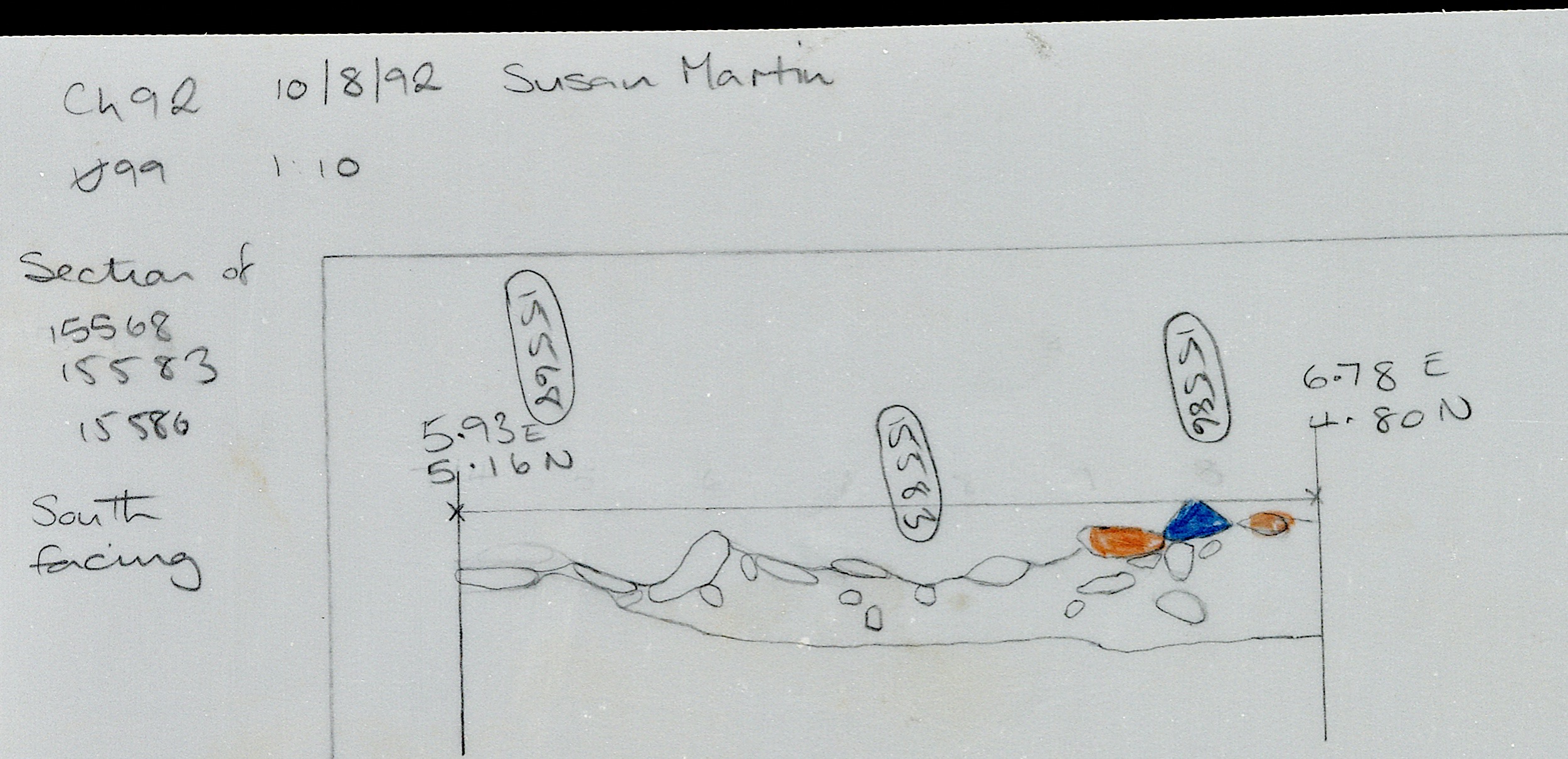 26. Section of various features