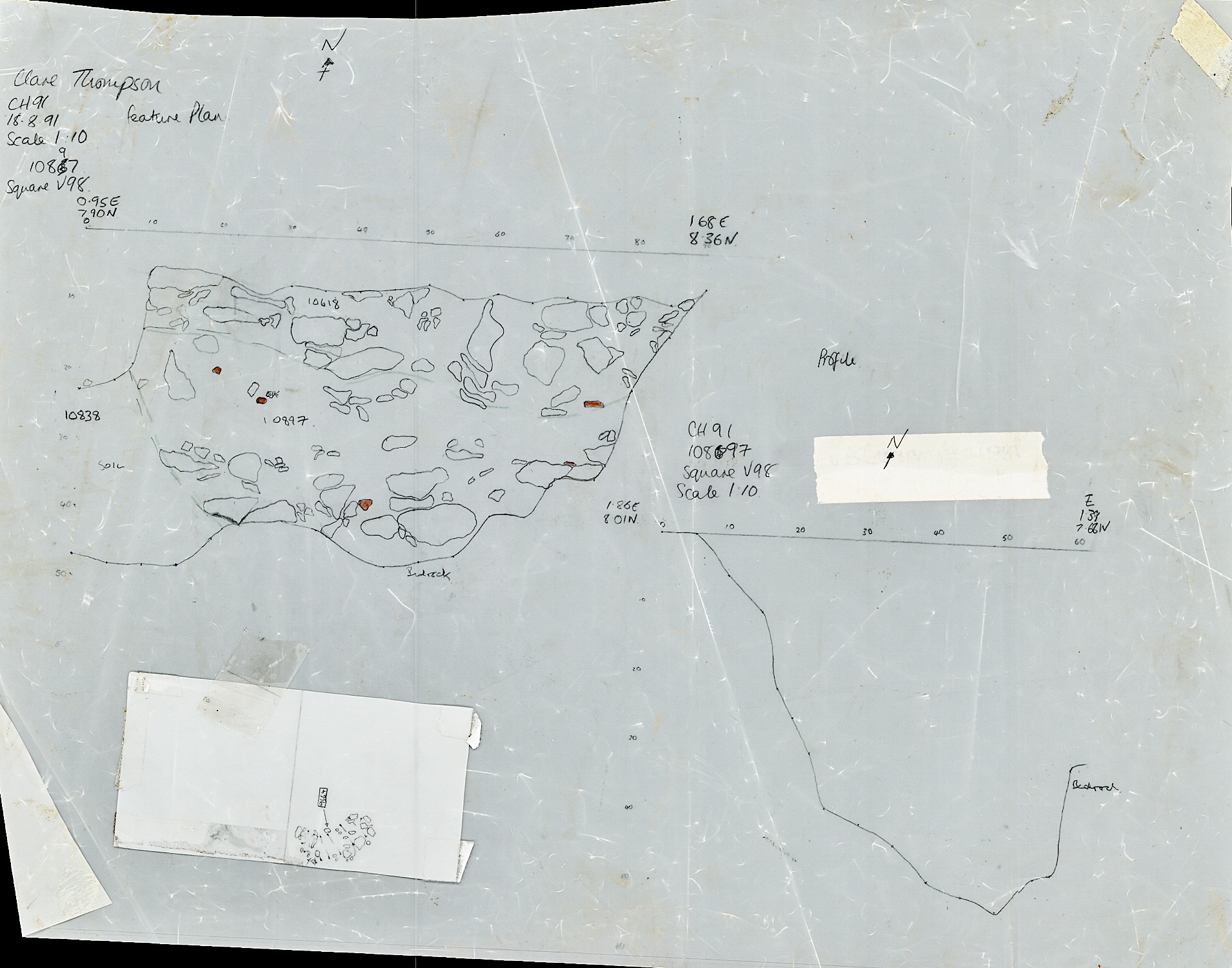 40. Section of F10897 (hand)
