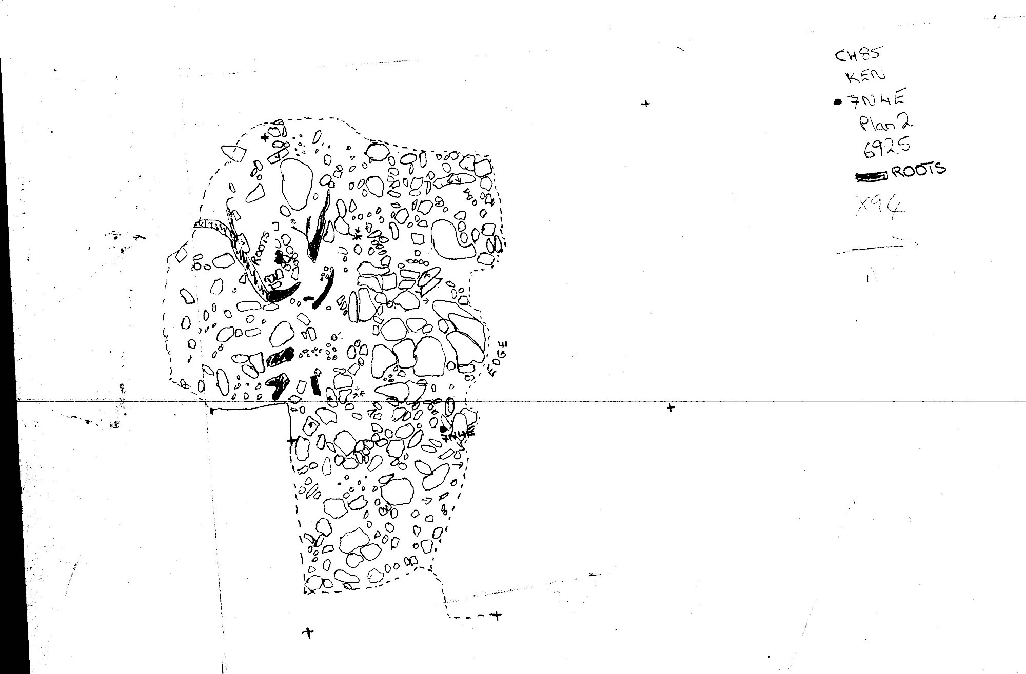 14. Plan 2 plan of roots