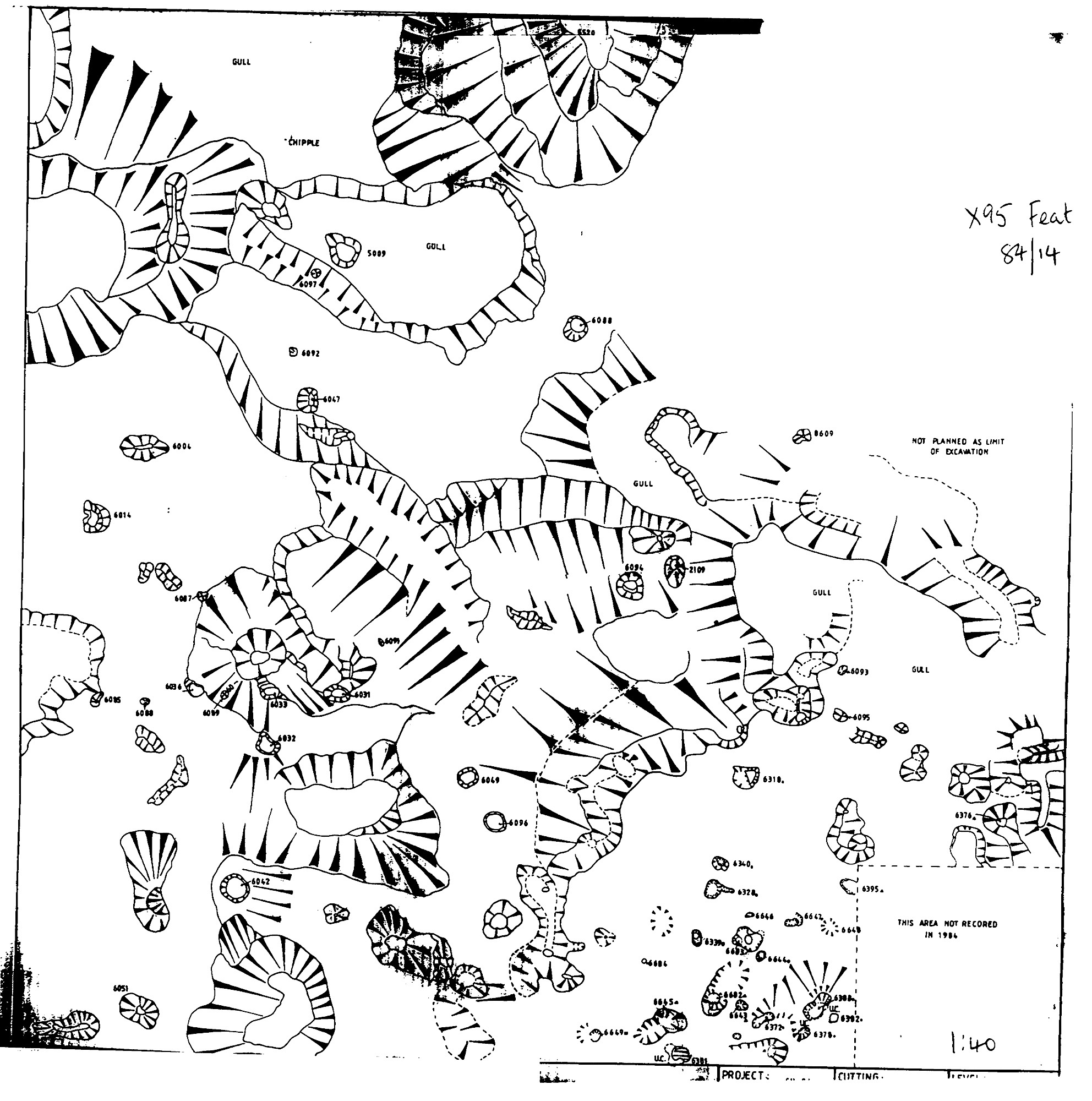 8. Feature Plan