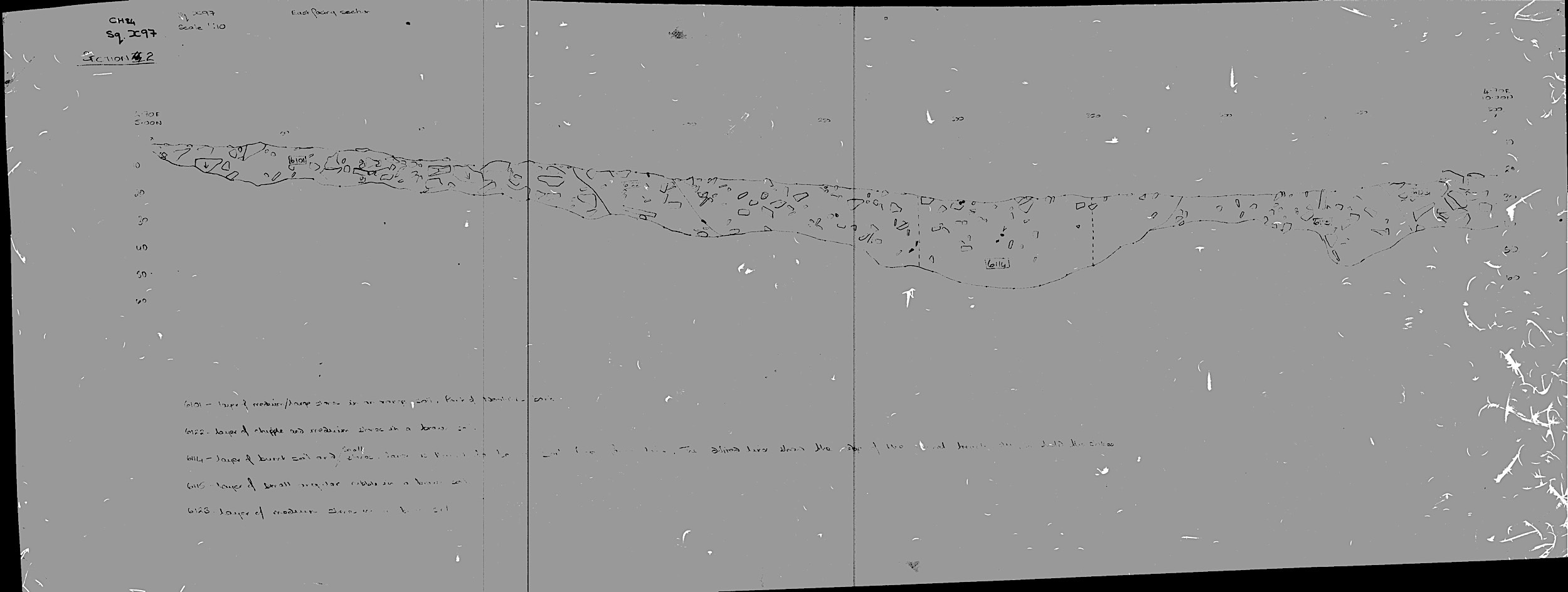 15. Section of F06114 (hand)