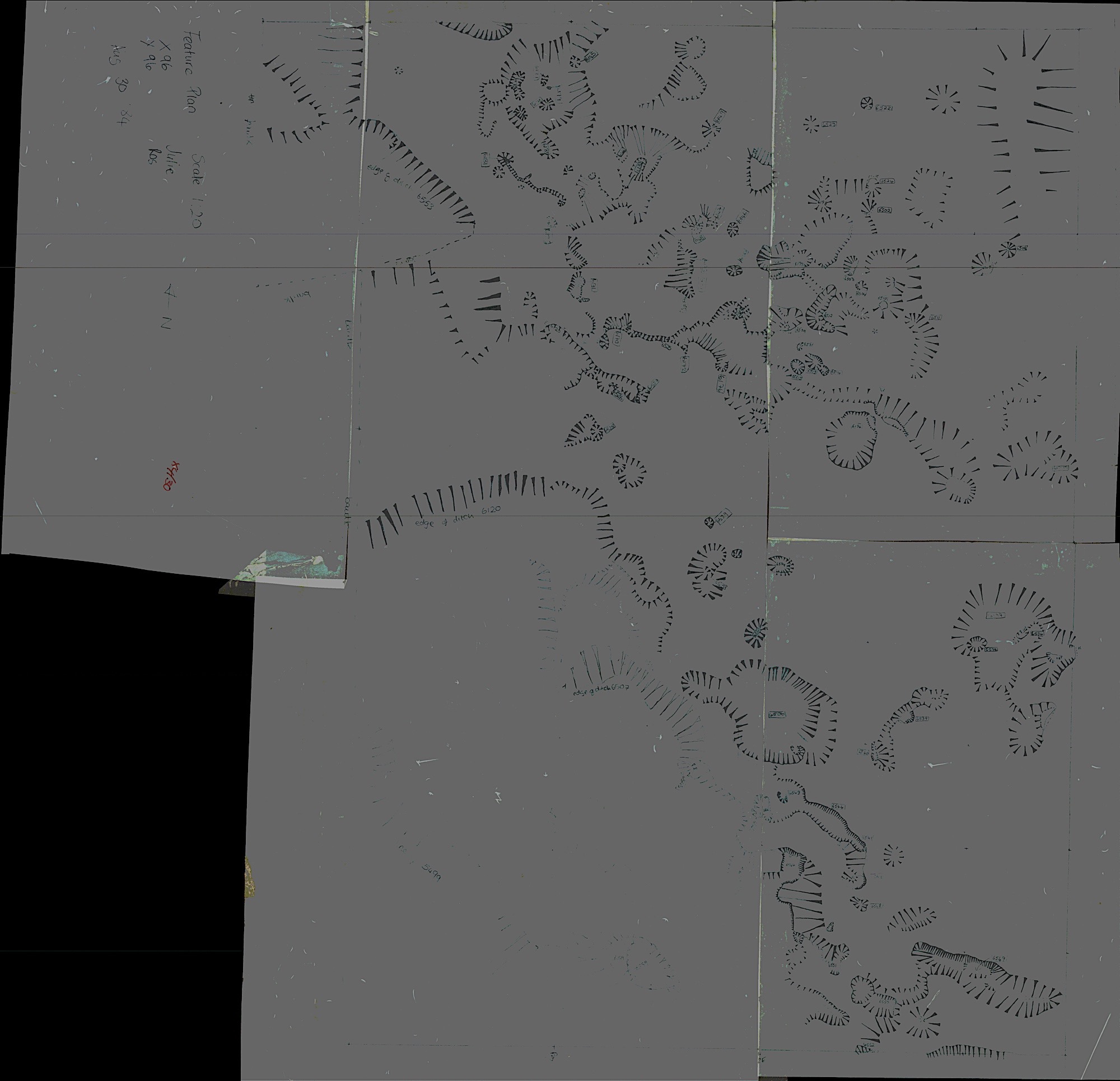 11. Feature Plan with X96W (hand)