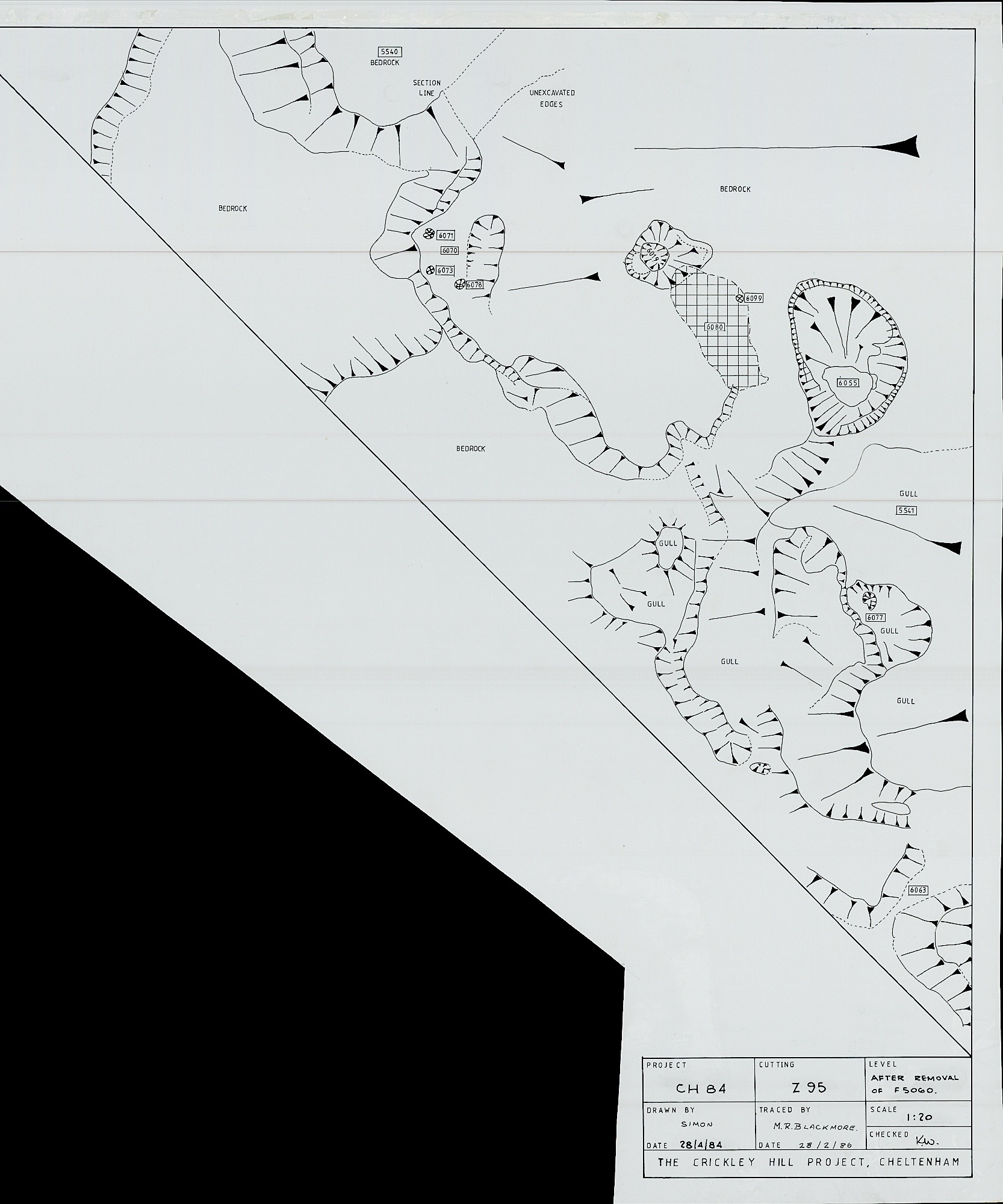 13. Feature Plan